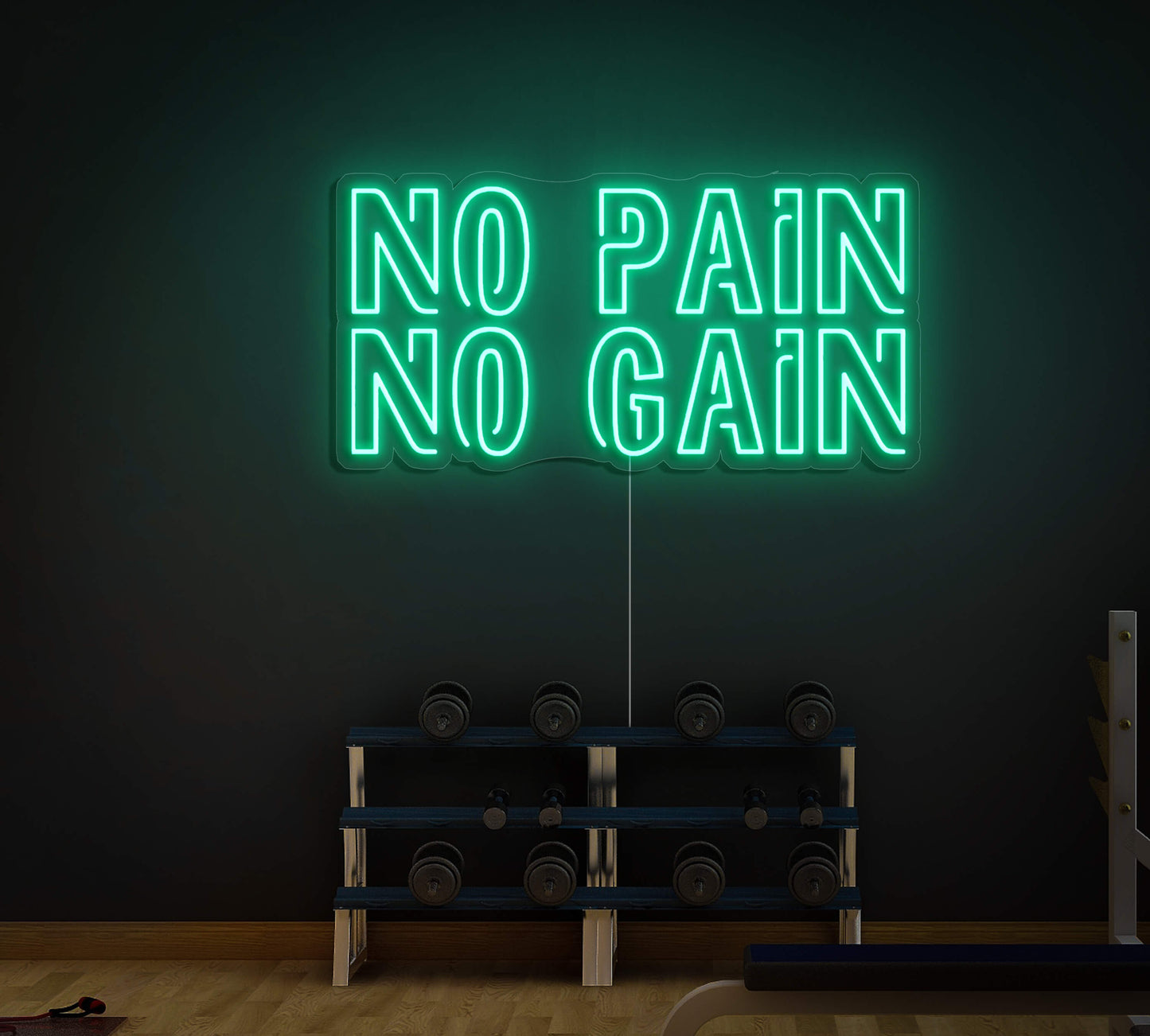 No_Pain_No_Gain_LED_Neon_Sign_1