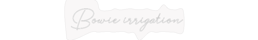 Custom Neon: Bowie irrigat...