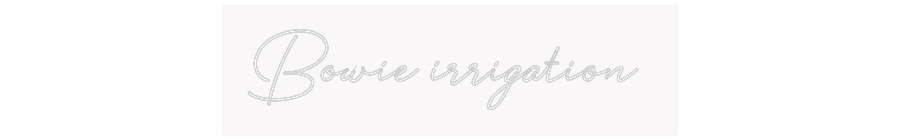 Custom Neon: Bowie irrigat...